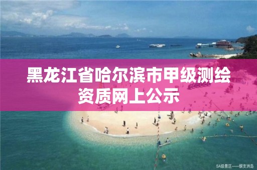 黑龍江省哈爾濱市甲級測繪資質網上公示