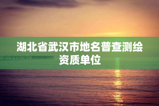 湖北省武漢市地名普查測繪資質單位