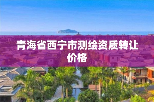 青海省西寧市測繪資質轉讓價格