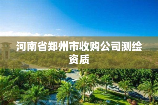 河南省鄭州市收購公司測繪資質