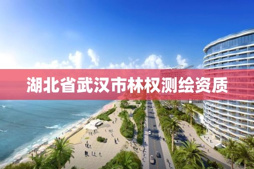 湖北省武漢市林權測繪資質