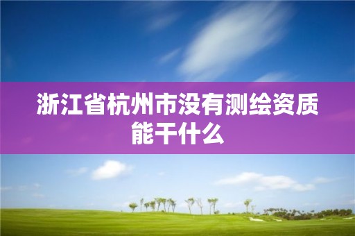 浙江省杭州市沒有測繪資質能干什么