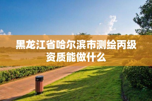 黑龍江省哈爾濱市測繪丙級資質(zhì)能做什么