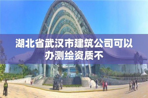 湖北省武漢市建筑公司可以辦測繪資質不