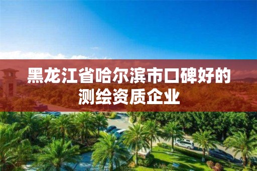 黑龍江省哈爾濱市口碑好的測繪資質企業