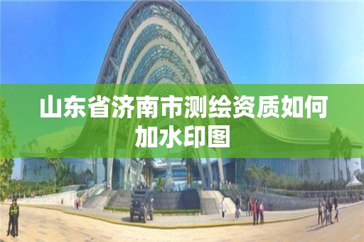 山東省濟南市測繪資質如何加水印圖