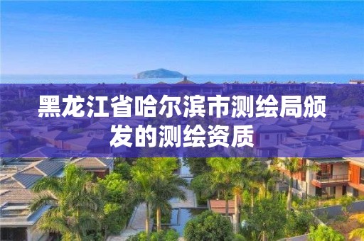 黑龍江省哈爾濱市測繪局頒發(fā)的測繪資質(zhì)