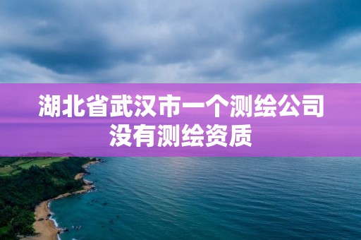 湖北省武漢市一個測繪公司沒有測繪資質(zhì)