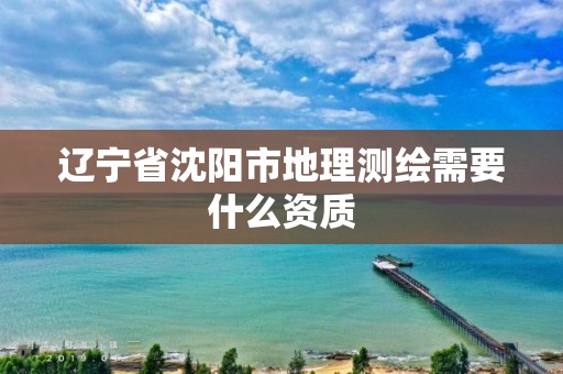 遼寧省沈陽市地理測繪需要什么資質