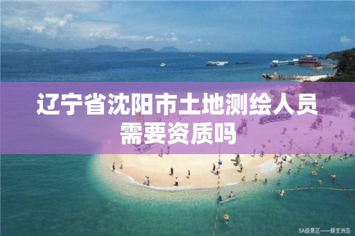 遼寧省沈陽市土地測繪人員需要資質嗎