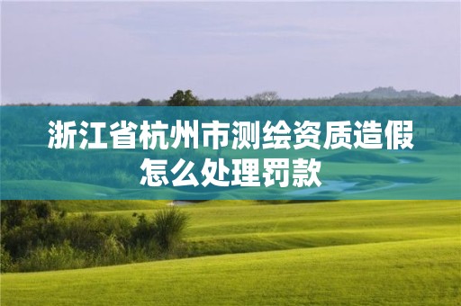 浙江省杭州市測繪資質造假怎么處理罰款