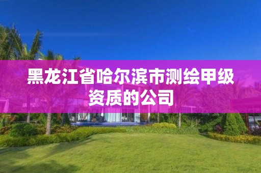 黑龍江省哈爾濱市測繪甲級資質的公司