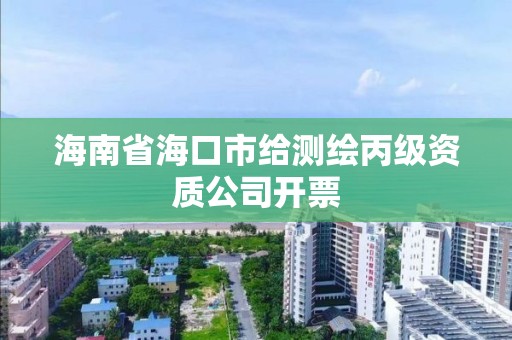 海南省海口市給測繪丙級資質(zhì)公司開票