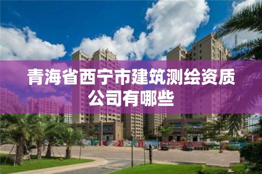 青海省西寧市建筑測繪資質公司有哪些