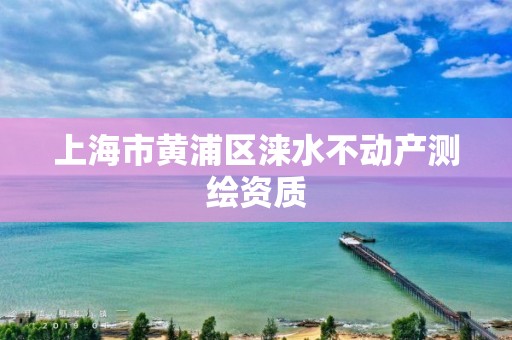 上海市黃浦區淶水不動產測繪資質