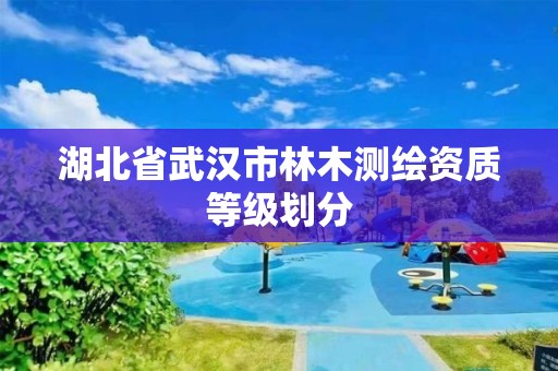 湖北省武漢市林木測繪資質等級劃分