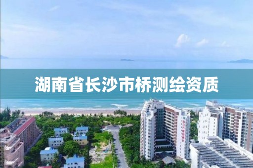 湖南省長沙市橋測繪資質(zhì)