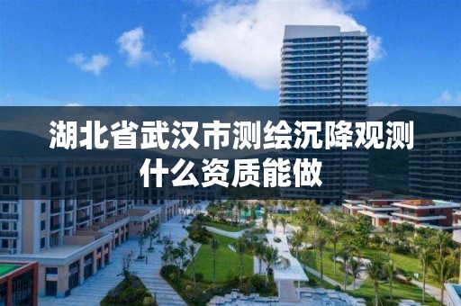 湖北省武漢市測繪沉降觀測什么資質能做