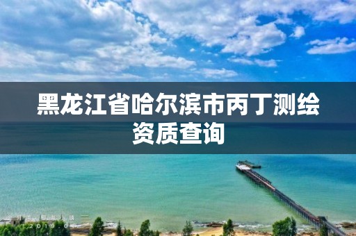 黑龍江省哈爾濱市丙丁測繪資質查詢