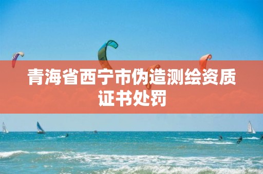 青海省西寧市偽造測繪資質(zhì)證書處罰