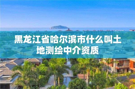 黑龍江省哈爾濱市什么叫土地測繪中介資質