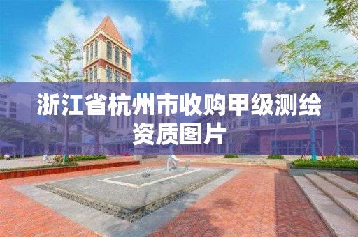 浙江省杭州市收購甲級測繪資質圖片