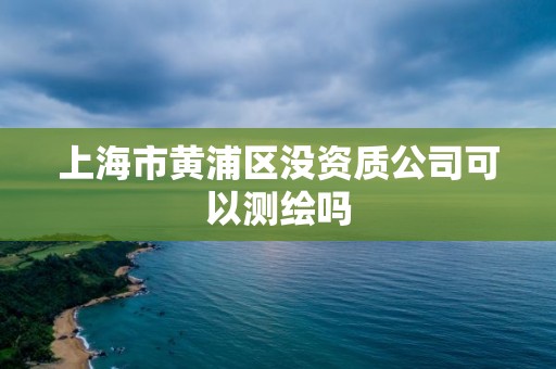 上海市黃浦區沒資質公司可以測繪嗎