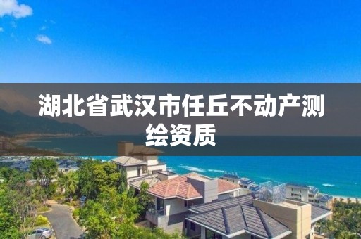 湖北省武漢市任丘不動產測繪資質