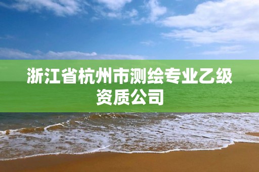 浙江省杭州市測繪專業乙級資質公司