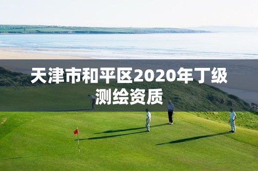 天津市和平區(qū)2020年丁級測繪資質(zhì)