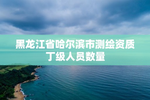 黑龍江省哈爾濱市測繪資質丁級人員數量