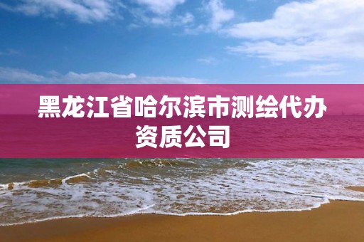 黑龍江省哈爾濱市測(cè)繪代辦資質(zhì)公司