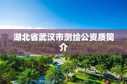 湖北省武漢市測繪公資質簡介