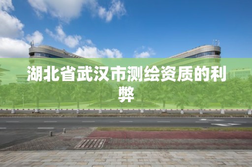 湖北省武漢市測繪資質的利弊