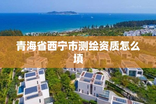 青海省西寧市測繪資質怎么填