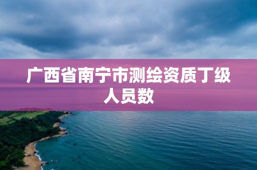 廣西省南寧市測繪資質(zhì)丁級人員數(shù)