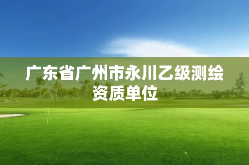 廣東省廣州市永川乙級測繪資質單位