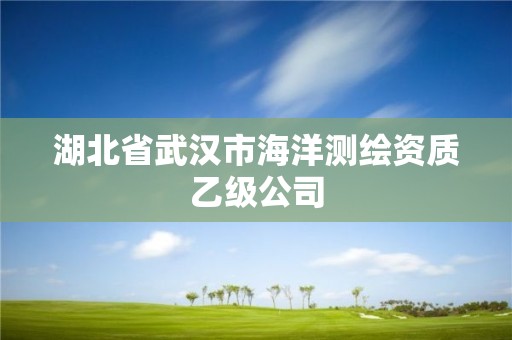 湖北省武漢市海洋測繪資質(zhì)乙級公司