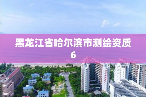 黑龍江省哈爾濱市測繪資質6