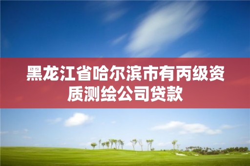 黑龍江省哈爾濱市有丙級資質測繪公司貸款