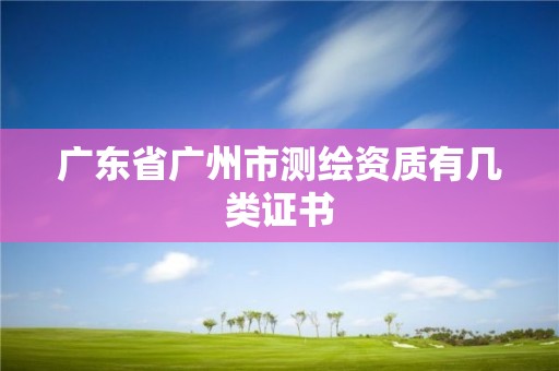 廣東省廣州市測繪資質有幾類證書