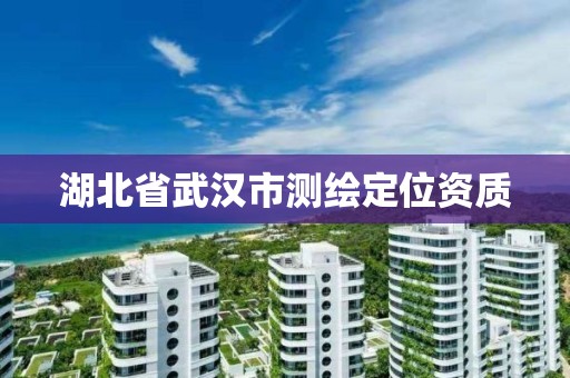 湖北省武漢市測繪定位資質