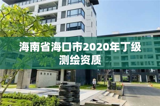 海南省海口市2020年丁級測繪資質