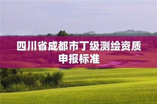 四川省成都市丁級測繪資質申報標準