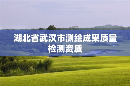 湖北省武漢市測(cè)繪成果質(zhì)量檢測(cè)資質(zhì)