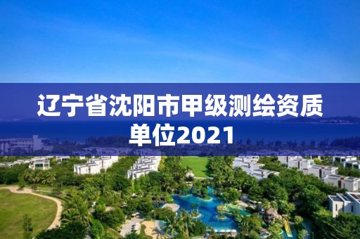 遼寧省沈陽市甲級測繪資質單位2021