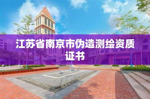 江蘇省南京市偽造測繪資質證書