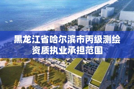 黑龍江省哈爾濱市丙級測繪資質執(zhí)業(yè)承擔范圍