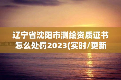 遼寧省沈陽市測繪資質證書怎么處罰2023(實時/更新中)