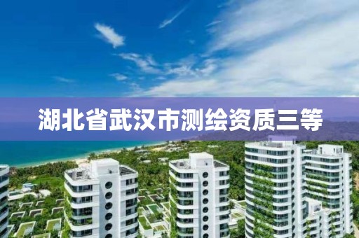 湖北省武漢市測繪資質三等